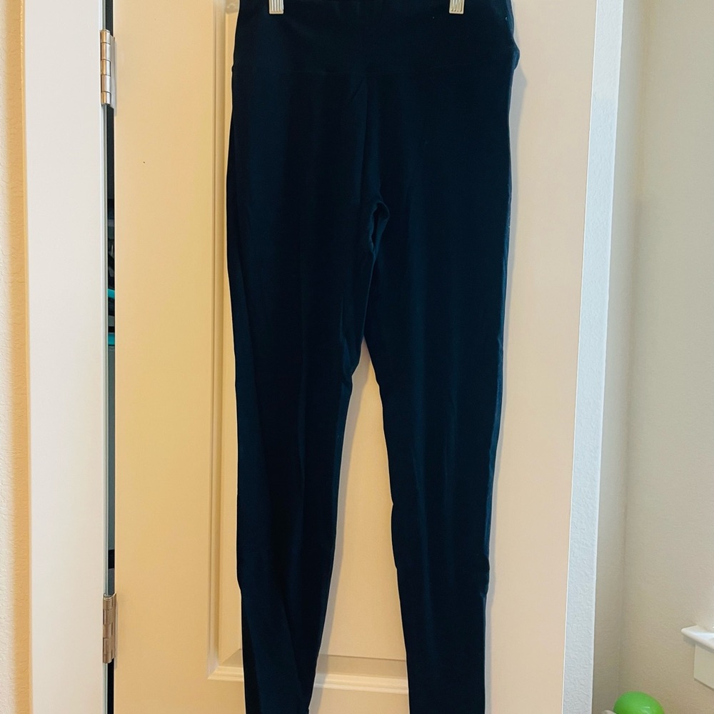 Size L pulse Surge Alphalete Leggings